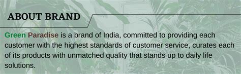 Green Paradise Pandanus Amaryllifolius Plant Pandan Plant Rambha Plant ...