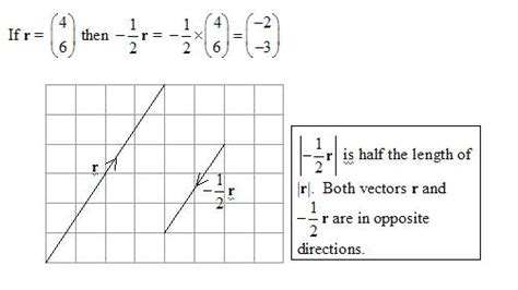 Multiplying Vector Components 的图像结果