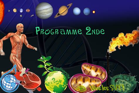 Programme SVT Seconde 的图像结果