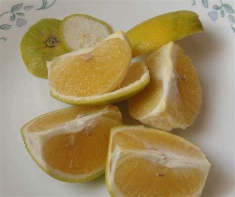 The Earth of India: All About Sweet Lime (Mosambi)
