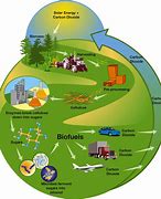 Image result for Biomass Energy Cycle