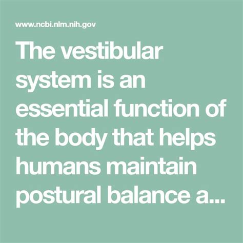 Image result for Vestibular Function