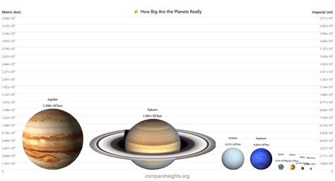 height-comparison (height-comparison) · GitHub