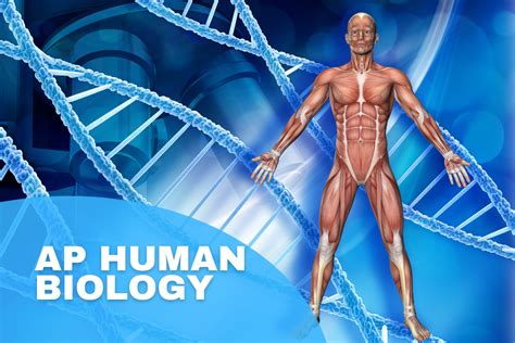 Basic Human Biology 的图像结果