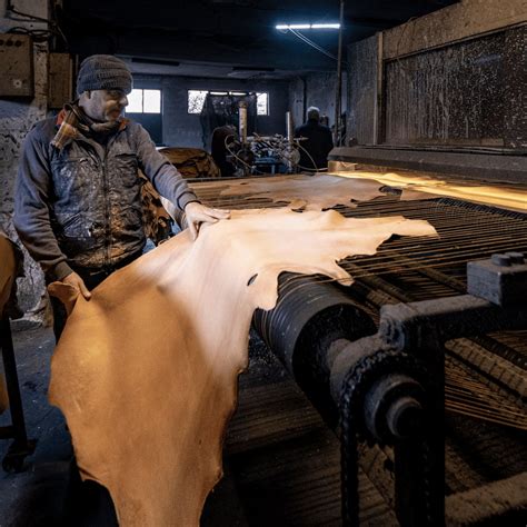 Preparation of The Hide for Tanning