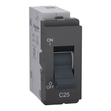 P8025_PG_N - Mini MCB, Livia, 25A, grey | Schneider Electric India