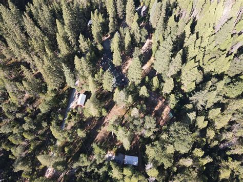 Northern California Vacation Rentals | House and Cabin Rentals | Airbnb