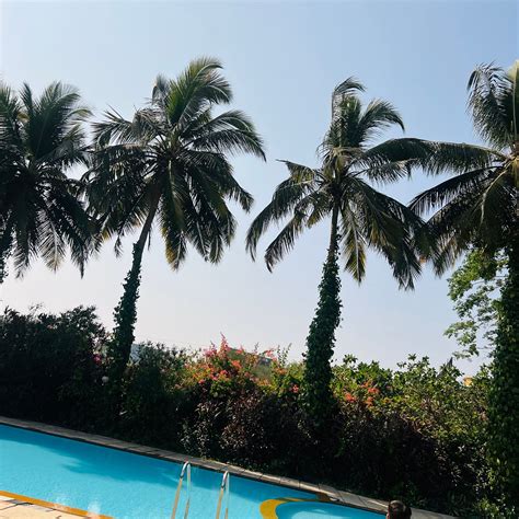 THE FERN KESARVAL HOTEL & SPA VERNA PLATEAU, GOA (Quelossim ...