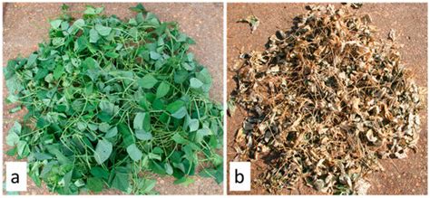 Recurring Rolling/Crimping Effects on Termination Effectiveness of Iron ...