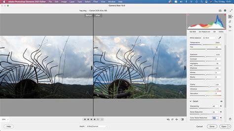 Image result for Photoshop Elements 2021 For Dummies Tutorial