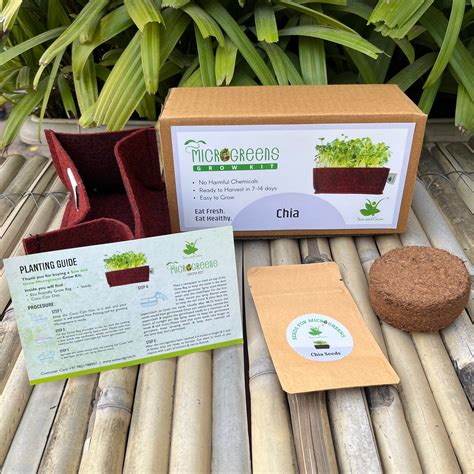 Microgreens Grow Kit: Chia 25 grams || Easy to Use Kit for Beginner Ga ...