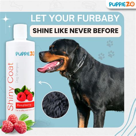 Puppiezo Shiny Coat Dog Shampoo | Natural Ingredients for Soft ...