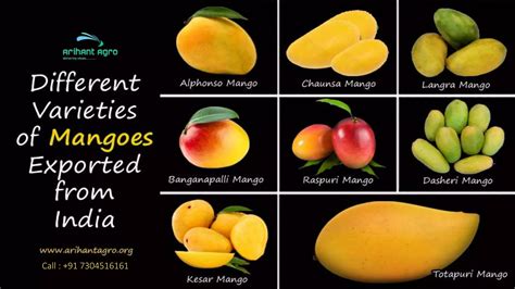 Image result for Mango Production Script Script