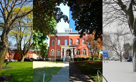 Batavia Daily News | Batavia NY