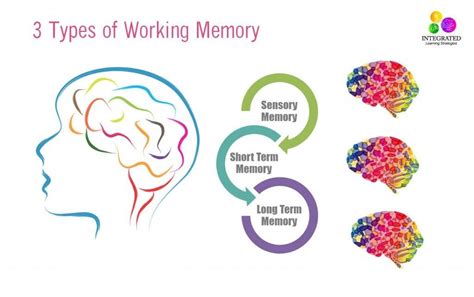 Image result for Working Memory Explained