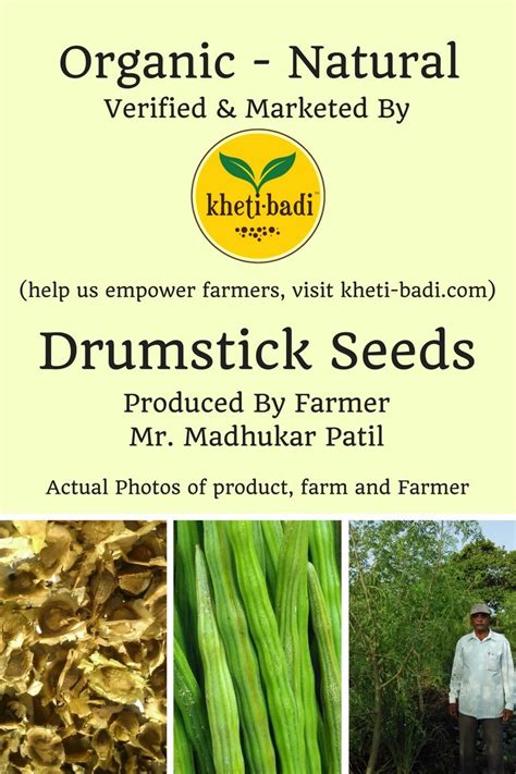 Buy Organic Drumstick Seeds by Kheti-Badi (200 Seeds) (सहजन बीज) Online ...