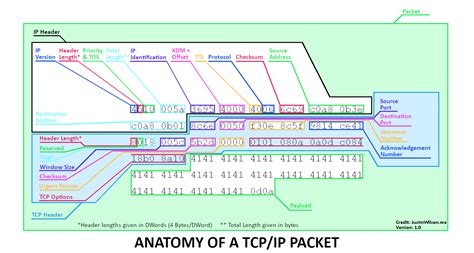 Image result for Basic IP Packet