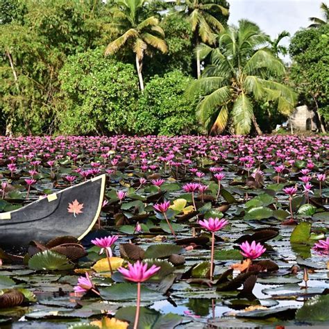 Travel & Tourism News India & International Travel Industry Updates ...