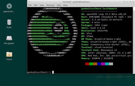 BlueStacks Linux 的图像结果