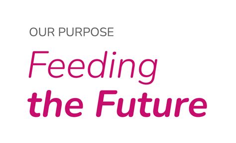 Purpose, vision and values - Skretting