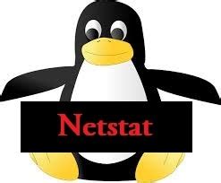Image result for Netstat Examples