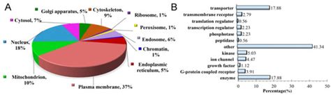 Proteomic Analysis of Retinal Mitochondria-Associated ER Membranes ...