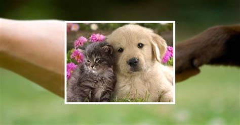 Obituary Galleries | Pauline Corinne Kroll of Woodlawn, Virginia ...