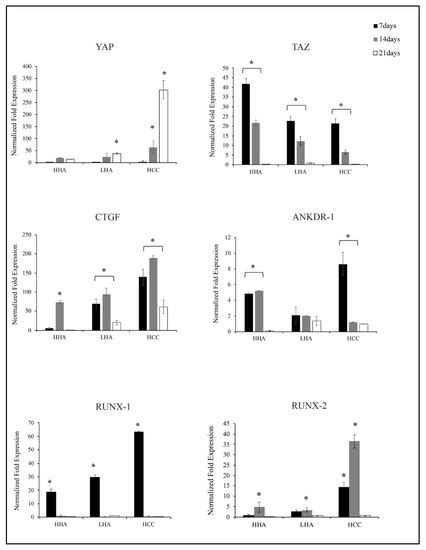 Hyaluronan-Based Gel Promotes Human Dental Pulp Stem Cells Bone ...