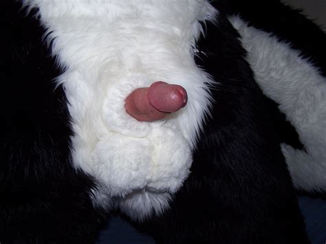 yiffing.in - Gallery: fursuit