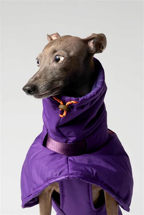 GRAVITY - SUPER COVER EXTREME – vemvem®