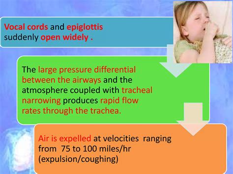 Mechanism of Cough | PPT