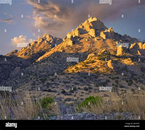 Florida Mountains, Rockhound State Park, New Mexico Stock Photo - Alamy