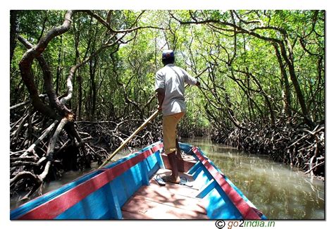 go2india.in : Boat journey at Bay to reach limestone caves at Baratang ...