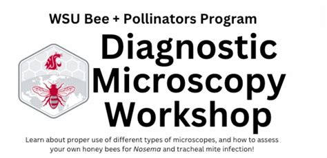 Diagnostic Microscopy Workshop - Puyallup, WSU Research & Extension ...