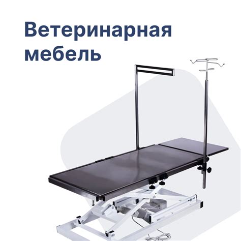 Ветеринарная стоматология
