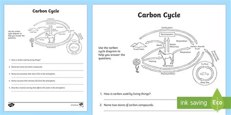 Carbon Cycle Worksheet Activity | Earth and Space Science
