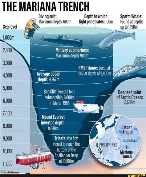 Average Depth For Diving at Stephanie Dampier blog