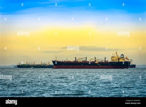 Import Trade 的图像结果