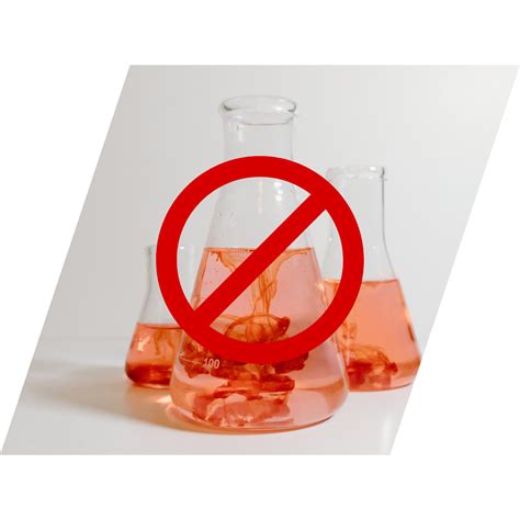 Wellbe no nasties ever – WellBeFoods