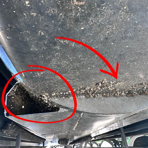 Lake Host Saves Conway Lake from Invasive Zebra Mussels | InDepthNH.org