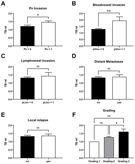 New Tumor Budding Evaluation in Head and Neck Squamous Cell Carcinomas