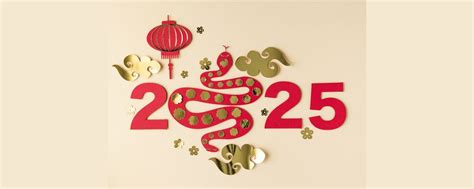 Chinese New Year Qi Gong Workshop - Year of the Snake, 72 Birmingham Rd ...