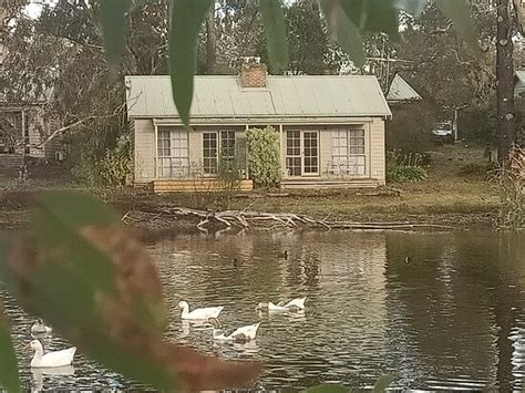 STONELEA COUNTRY ESTATE (Acheron) - Inn Reviews & Photos - Tripadvisor