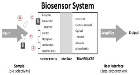 Image result for MgO SnO2 Phase Diagram