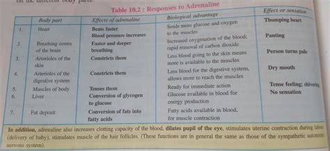 functions of adrenaline hormone - Brainly.in