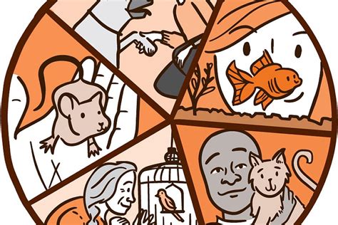 Image result for Pets Explained