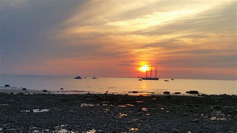 Cape Cod Beach 的图像结果