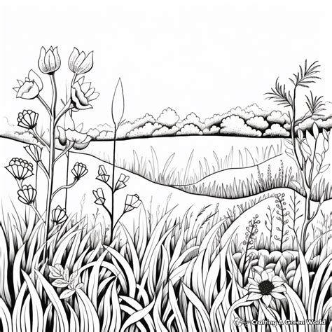 Grassland Coloring Pages [2025]