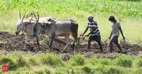 Record harvest expected as crop planting rises 4.5% - The Economic Times