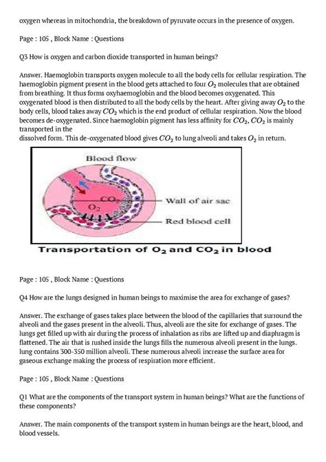 Image result for Class 10 Science Chapter Fifth